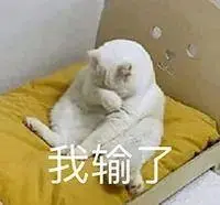slot qq macan Zheng Changle mendengus: Aku ingin tahu cerita konyol apa yang dia gambar lagi kali ini? !